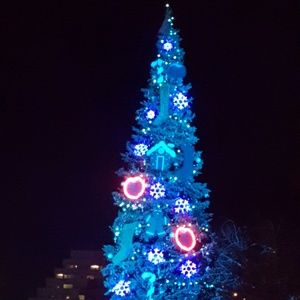 Meet your Posher, Dawn